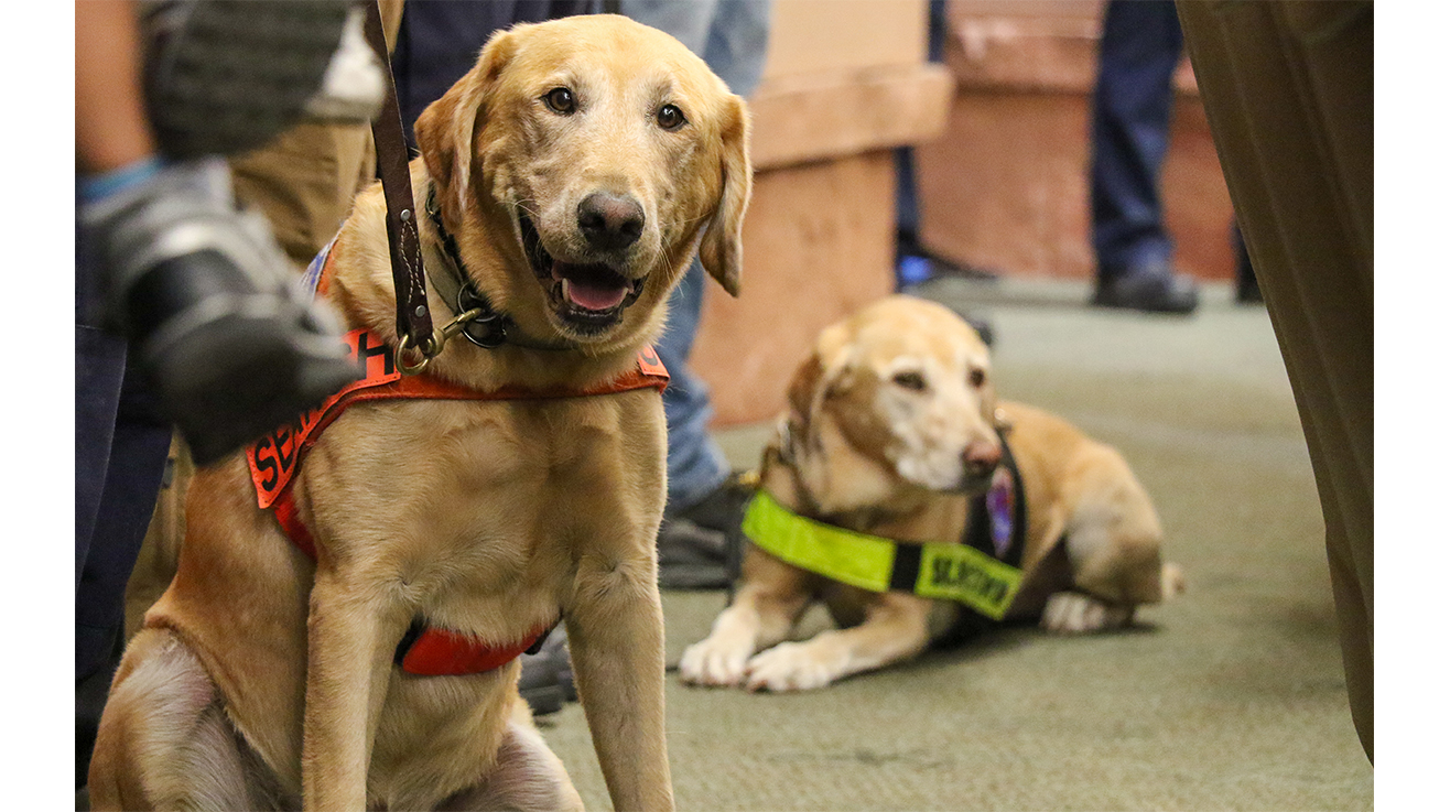 Porter’s HRD dog, Dexter, enjoys the recognition during the Oct. 6 Clark County Commission meeting.