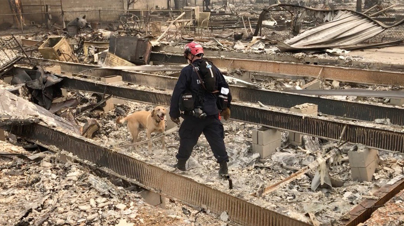 Porter and Dexter work in Oregon after the September 2020 fires. Porter has been part of the NVTF-1 for 14 years and a canine handler for seven.