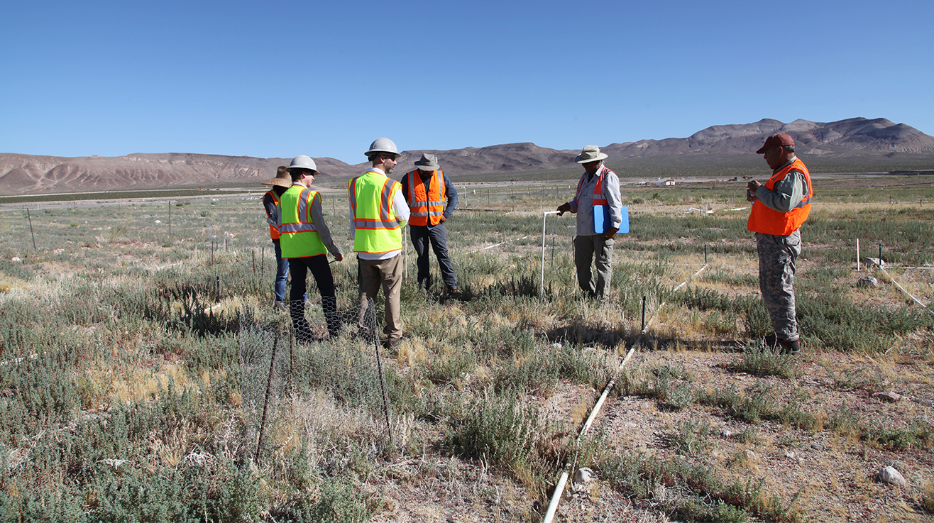 In this June 2019 photo, members of the Tribal Revegetation Committee and NNSS crews discuss the growth and revegetation efforts at the RWMC acreage.