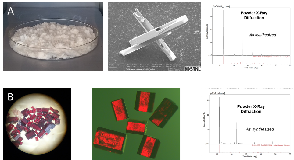 A) Calcium squarate Ca(C4O4) •3H2O MOF made in bulk (left), scanning electron microscope (SEM) picture (middle), and x-ray powder diffraction matched to literature (right). B) Cobalt squarate [Co3(C4O4)2(OH)2] •3H2O crystals 0.1-1 mm under an optical microscope (left, middle), with x-ray powder diffraction matched to literature.