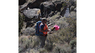 worker in orange vest places flags on Pahute Mesa area of NNSS