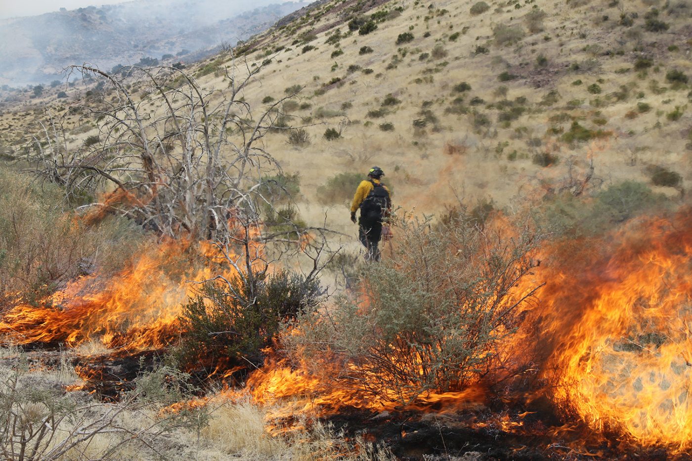 NNSS firefighter walking alongside brush burning