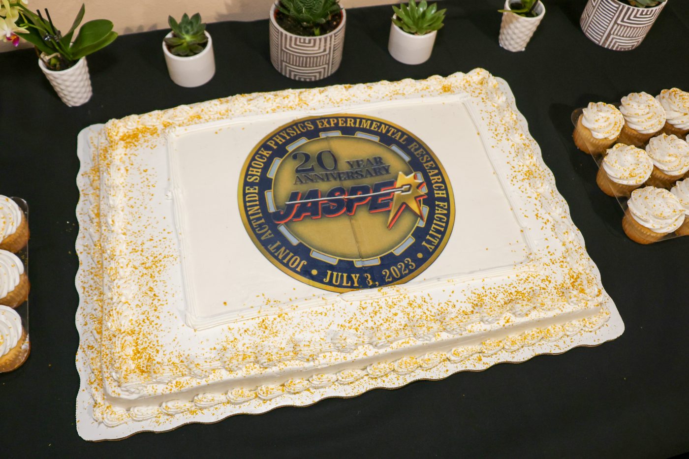 white cake on a table with a yellow, red and blue seal in the middle indicating 20th anniversary of JASPER