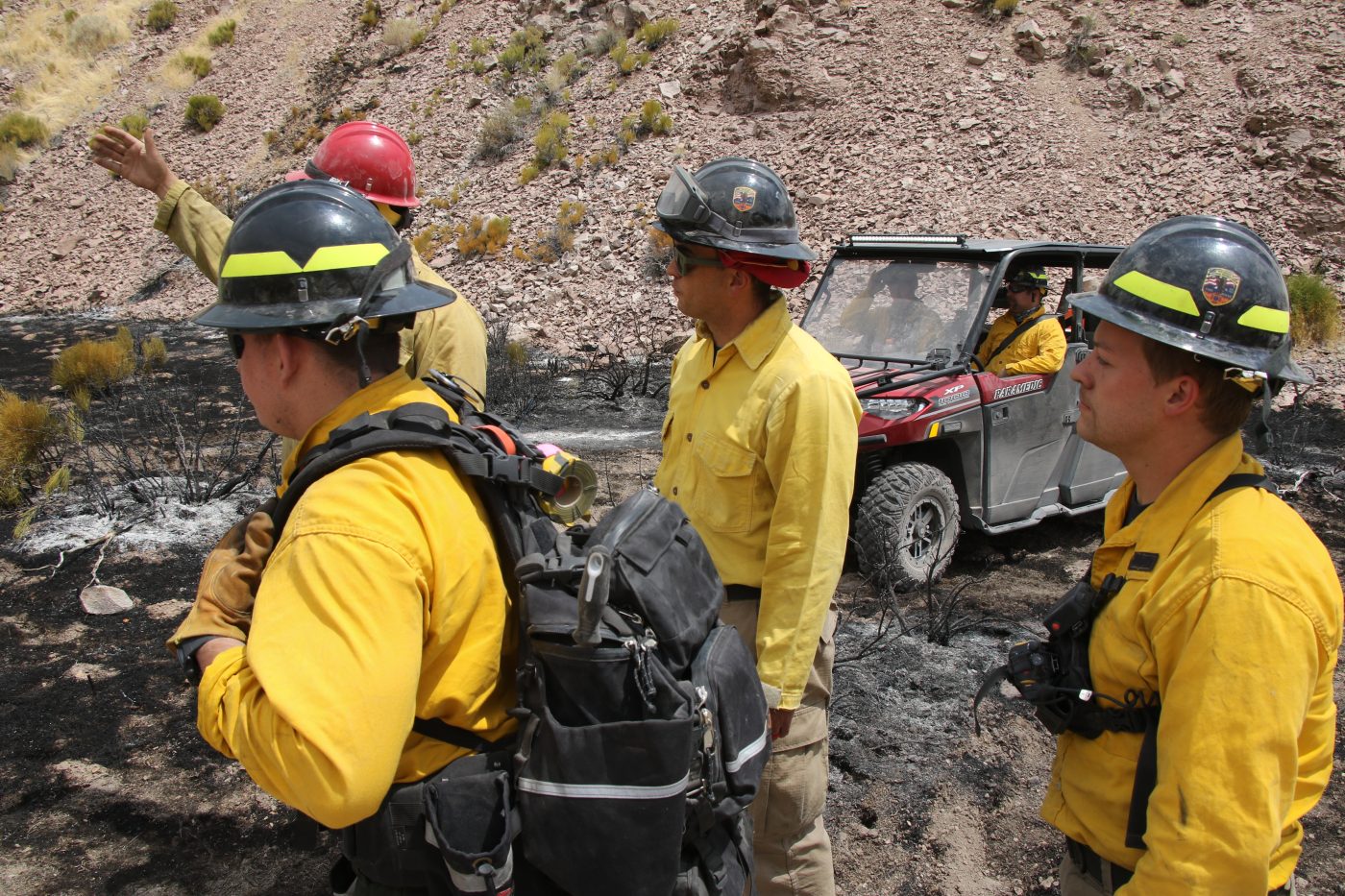 Four wildland firefighters assess terrain.