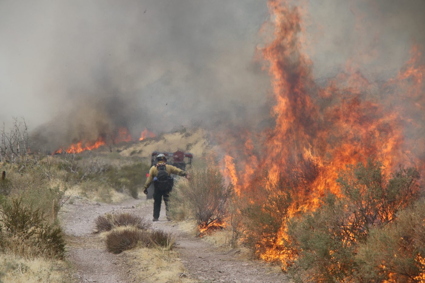 A wildland firefighter walks NNSS terrain amid a nearby fire