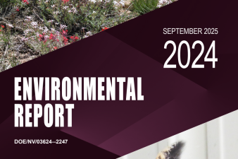 An environmental report cover with desert landscape flowers and the face of an owl.