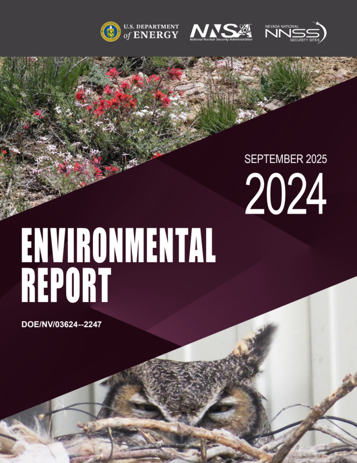 An environmental report cover with desert landscape flowers and the face of an owl.